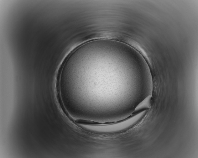 X0000094951091200712061246