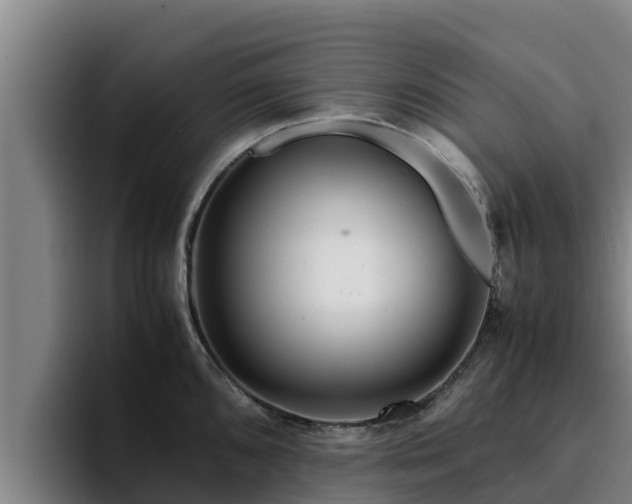 X0000094951096200712061246