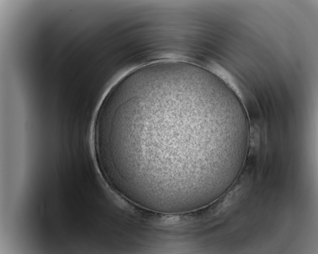 X0000094951098200712061246