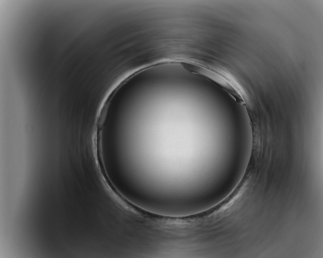 X0000094951100200712061246