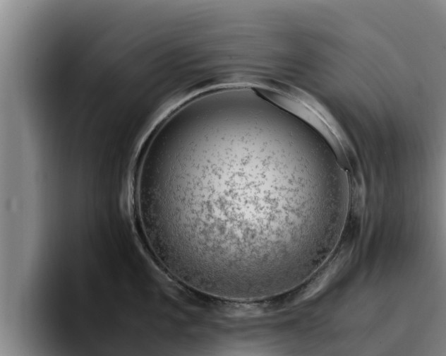 X0000094951101200712061246