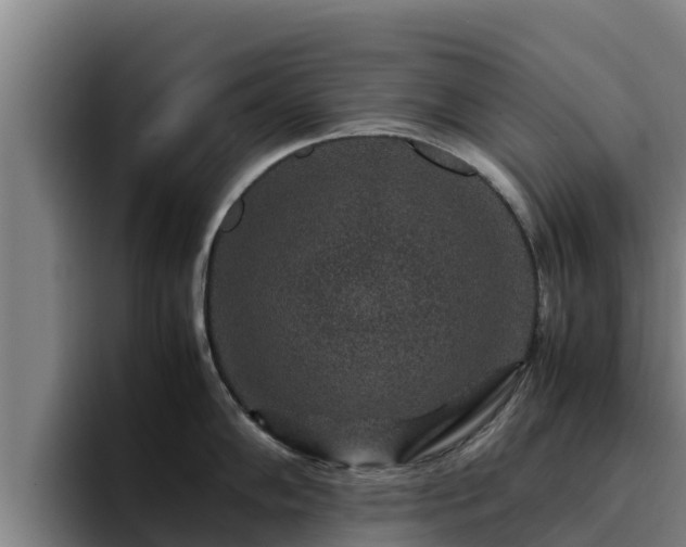 X0000094951102200712061246