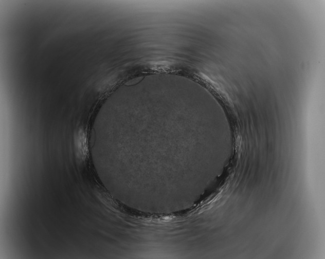 X0000094951106200712061245