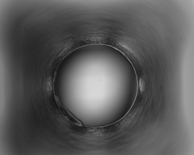 X0000094951107200712061245