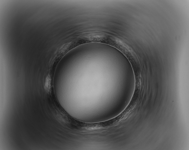 X0000094951108200712061245