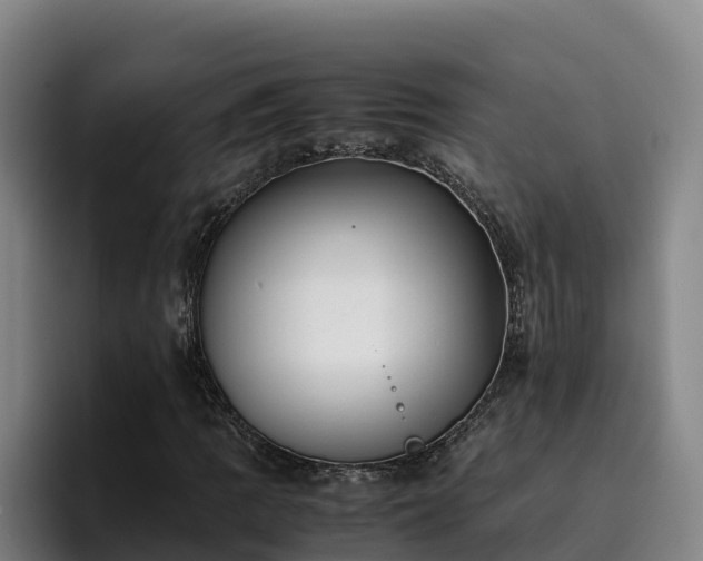 X0000094951109200712061245