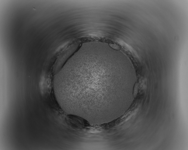 X0000094951110200712061245