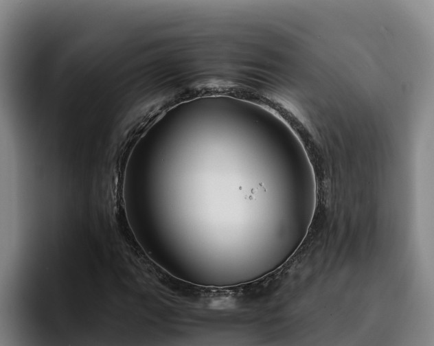 X0000094951111200712061246