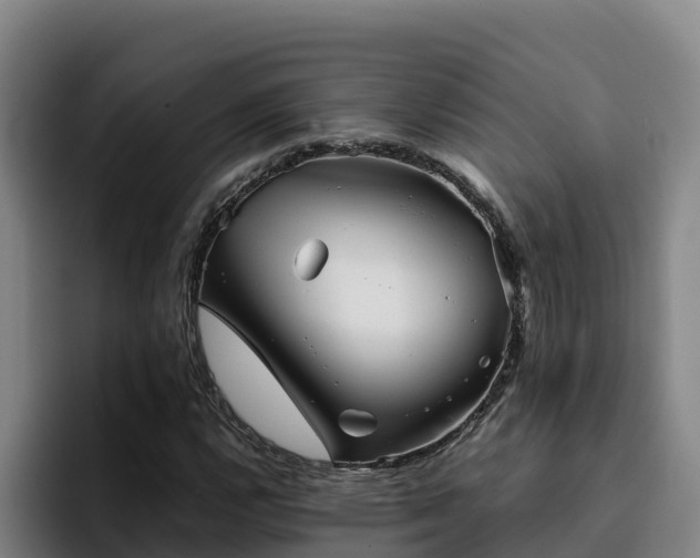 X0000094951112200712061246