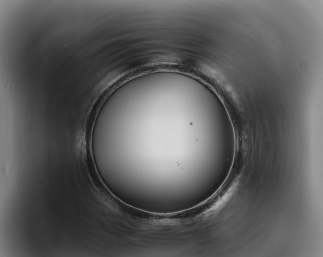 X0000094951113200712061246