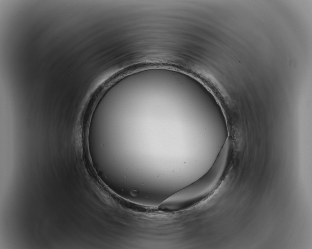 X0000094951114200712061246