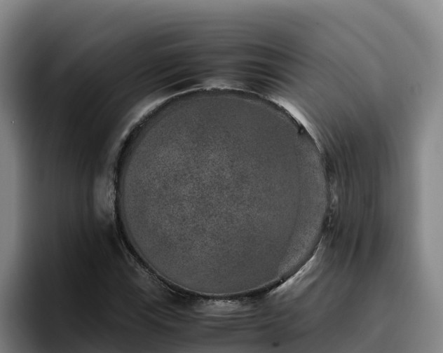 X0000094951115200712061246