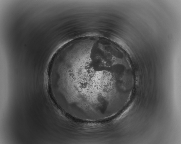 X0000094951117200712061246