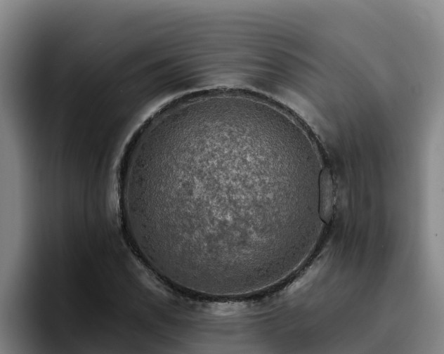 X0000094951118200712061246