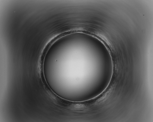 X0000094951119200712061246