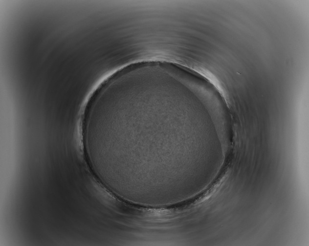 X0000094951120200712061246