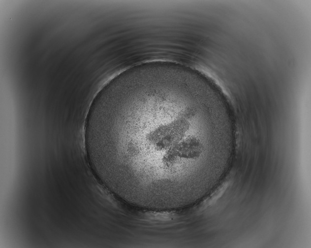 X0000094951121200712061246