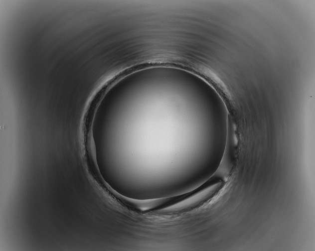 X0000094951122200712061246