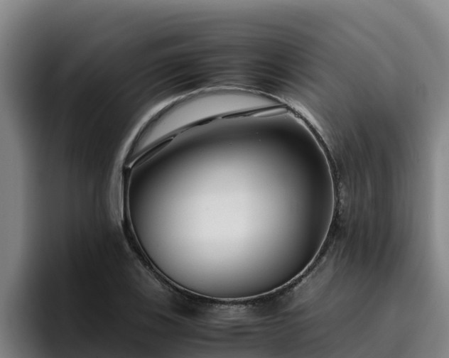 X0000094951123200712061246