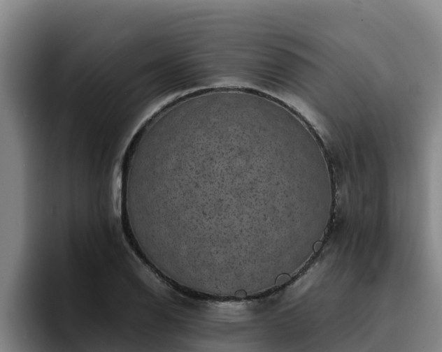 X0000094951126200712061246