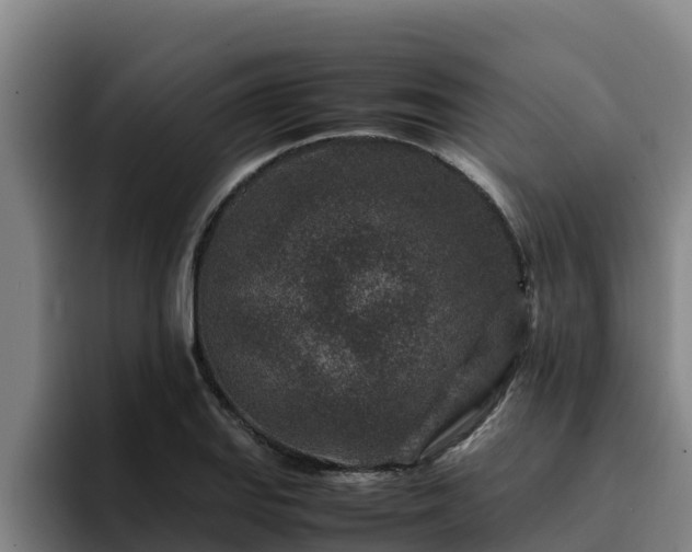 X0000094951127200712061246