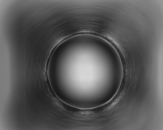 X0000094951129200712061246