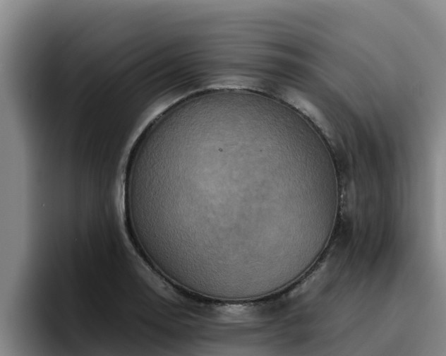 X0000094951130200712061246