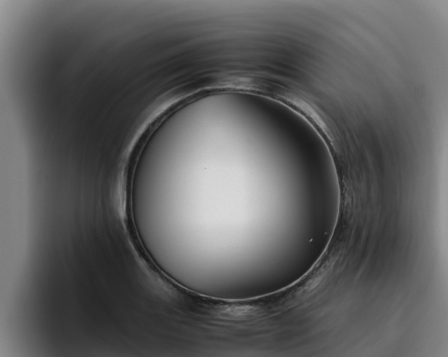 X0000094951131200712061246