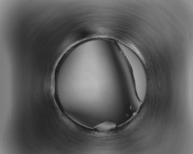 X0000094951132200712061246