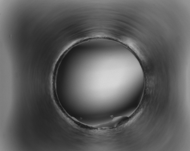 X0000094951134200712061246