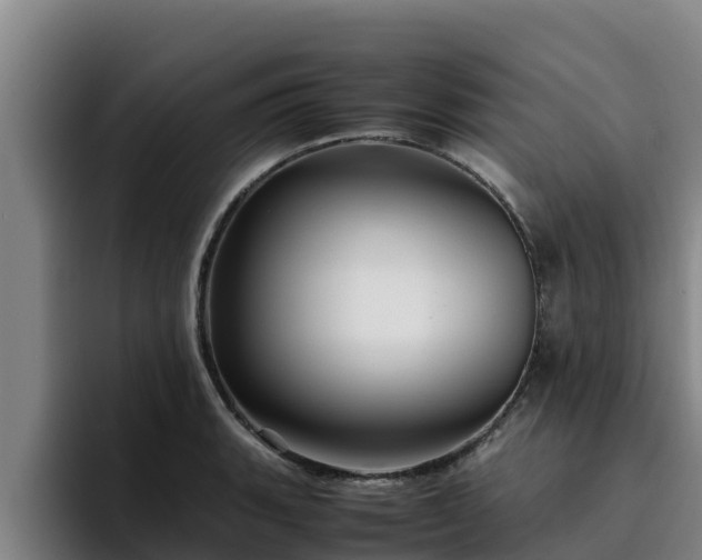 X0000094951135200712061246