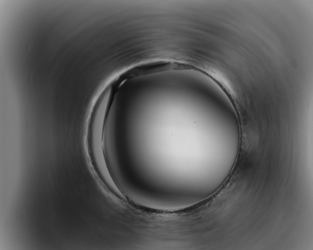 X0000094951136200712061246