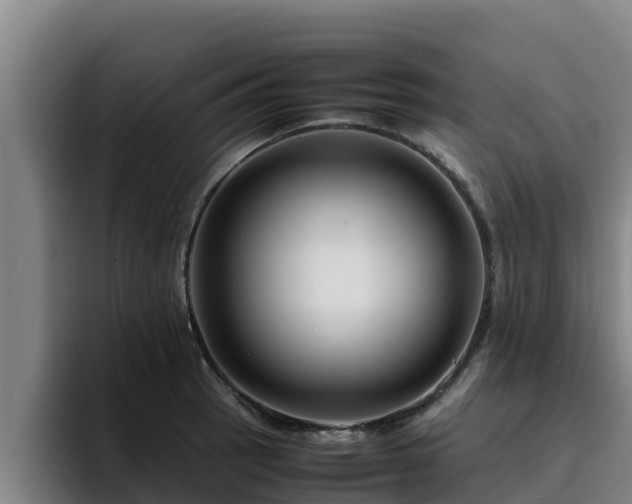 X0000094951137200712061246