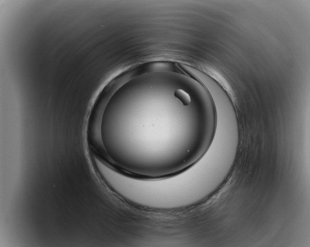 X0000094951138200712061246