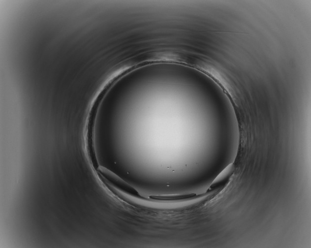 X0000094951139200712061246