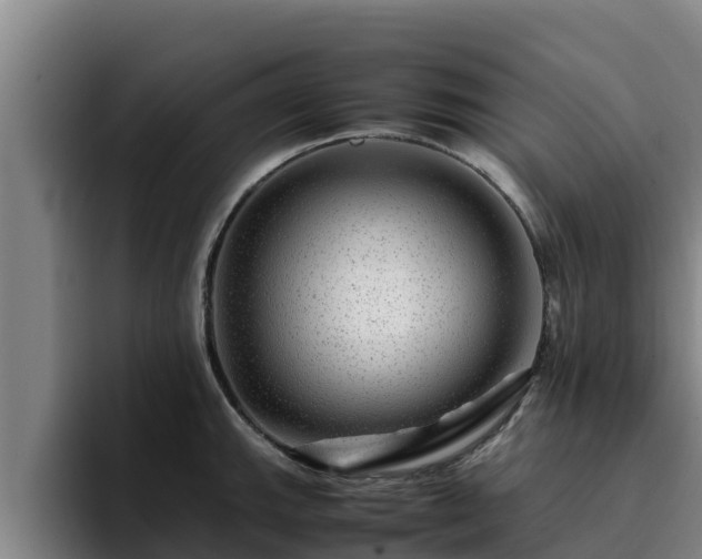 X0000094951143200712061246