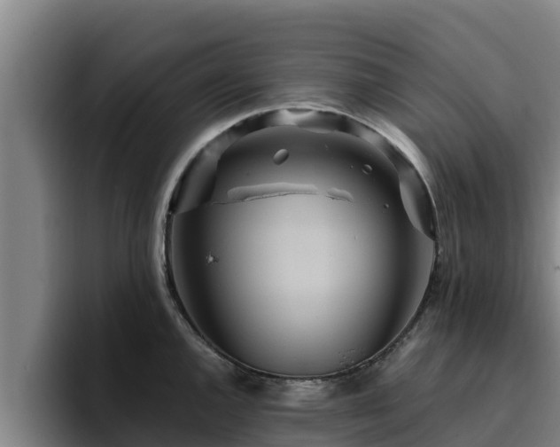 X0000094951144200712061246