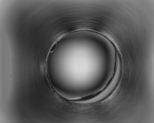 X0000094951145200712061246