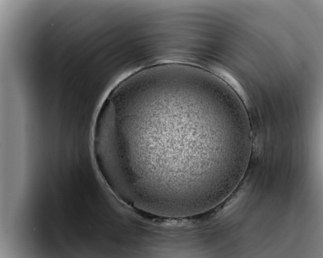 X0000094951146200712061246