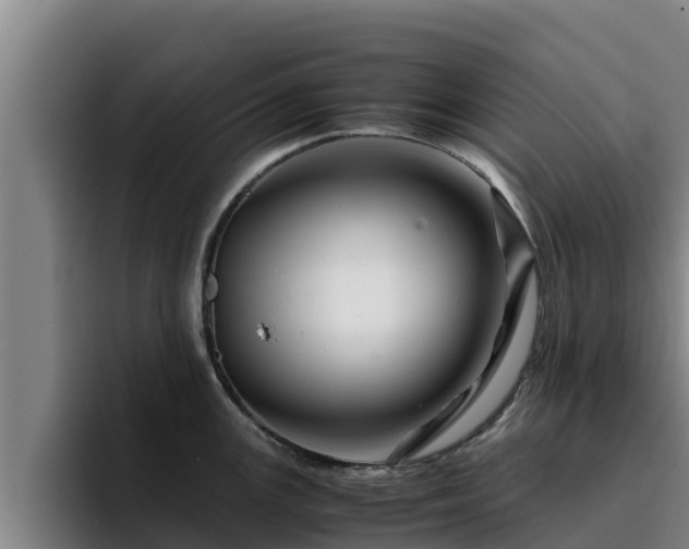 X0000094951147200712061246