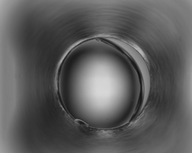 X0000094951148200712061246