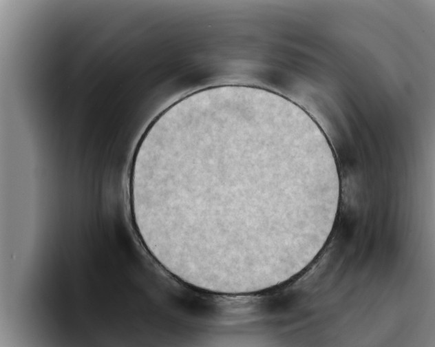 X0000094951150200712061246