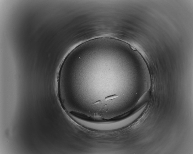 X0000094951151200712061246