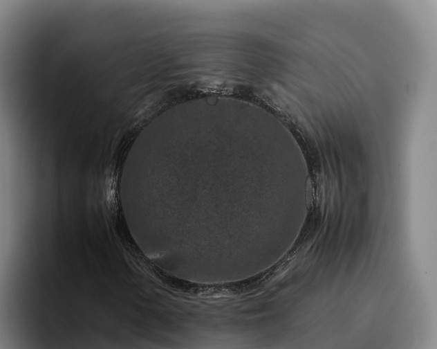 X0000094951154200712061245