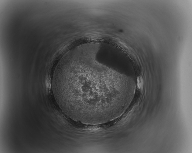 X0000094951155200712061245