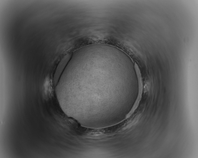 X0000094951156200712061245