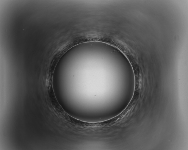 X0000094951157200712061245