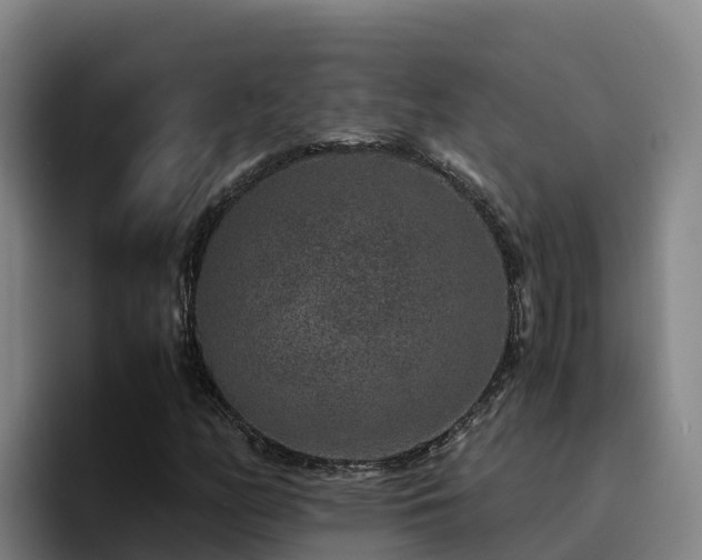 X0000094951158200712061245