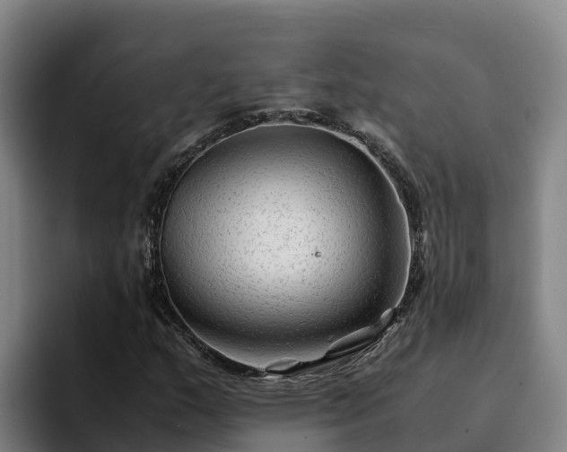 X0000094951159200712061245