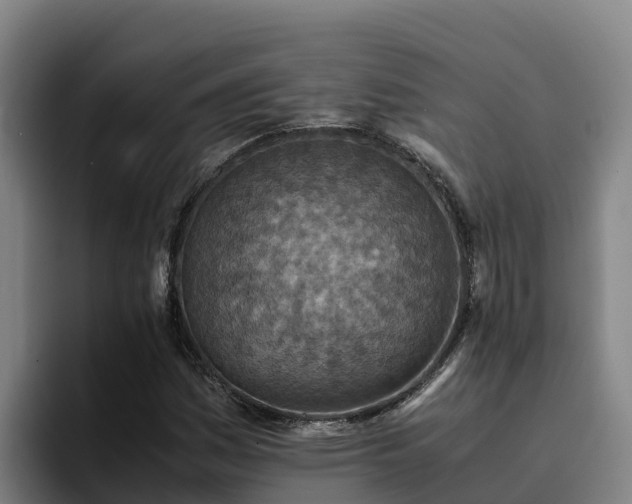 X0000094951161200712061245